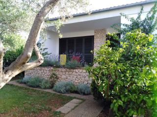 Holiday home Turanj/Biograd Riviera 7997 - Turanj - 1