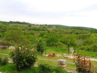 Apartment in Visnjan/Istrien 37224 - Višnjan - 2