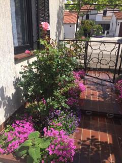 Apartments in Porec - Istrien 37216 - Poreč - 6