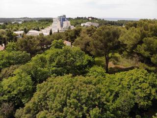 Apartments in Porec - Istrien 37216 - Poreč - 1