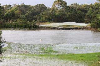 Inverloch par 3 Golf & Cafe and Cocoa & Briar Cottages - Inverloch - 9
