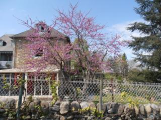 Gîte Tuyaret - Oloron-Sainte-Marie - 9