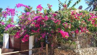 Villa La Caleta - Las Galeras - 8
