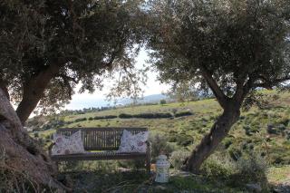 Bungalows by B&B Villa Sveva - Rocca Imperiale - 2