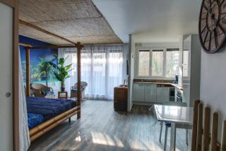 Appartement Plage et JACUZZI Balnéothérapie Athis Mons - Athis-Mons - 9