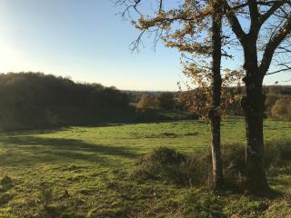 Gîte 5/6 personnes aux portes du Périgord - Saint-Adjutory - 5