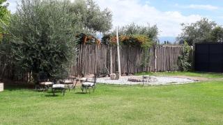 Olivos de Terrada - Ciudad Lujan de Cuyo - 3