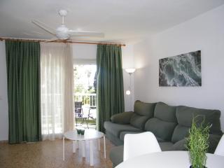 APARTAMENTO PARQUE II, Mnostrum Playa de Gandia EXCLUSIVO FAMILIAS - Los Mártires - 4