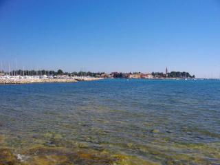 Apartments in Novigrad - Istrien 31220 - Karpinjan - 1