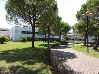 Apartments in Bibione 24609 - Bibione - 1