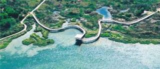 Apartment in Rosolina Mare 25069 - Rosolina Mare - 8