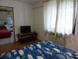 Apartments in Icici 15136 - Ičići - 2