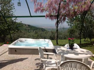 Apartment in Bagno a Ripoli/Toskana 23871 - Villamagna - 6