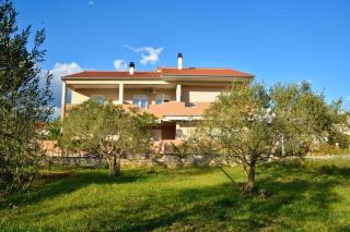 Apartments in Bibinje/Zadar Riviera 31187 - Bibinje - 0