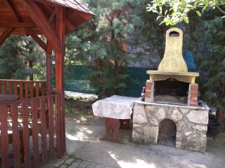 Apartment in Badacsony - Balaton 18014 - Badacsony - 1
