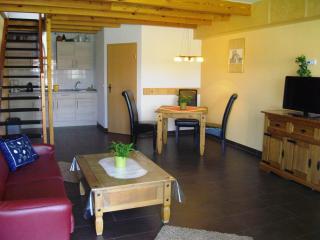 Apartments in Lübben Spreewald 26522 - Steinkirchen - 1