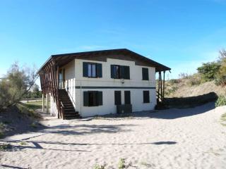 Apartments in Rosolina Mare 24957 - Rosolina Mare - 0