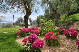 Apartments in Tremosine - Gardasee 34618 - Tremosine sul Garda - 6