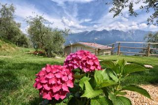 Apartments in Tremosine - Gardasee 34618 - Tremosine sul Garda - 5