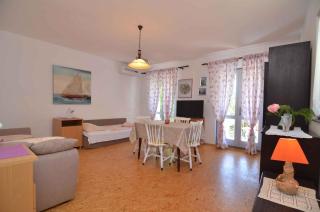 Apartment in Petrcane/Zadar Riviera 7907 - Petrcane - 1