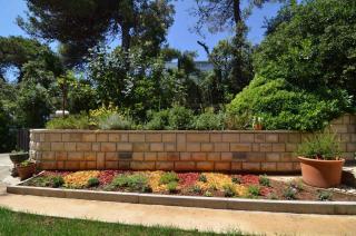 Apartment in Petrcane - Zadar Riviera 7907 - Petrcane (Peterzane) - 7