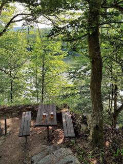 Holiday home in Hluboka nad Vltavou 35283 - Hluboká nad Vltavou - 1