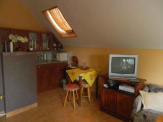 Apartments in Cserkeszolo/Ostungarn 34460 - Cserkeszőlő - 4