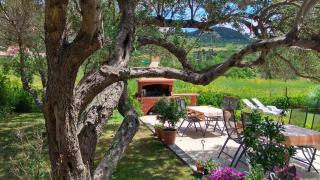 Apartment in Rab - Insel Rab 17563 - 0