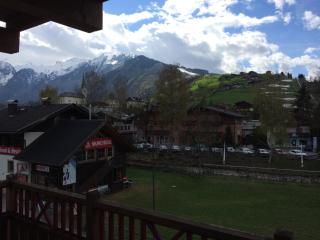 EXCLUSIVE APARTMENTS - inclusive Zell am See-Kaprun Sommerkarte und unbegrenztem Tauern SPA Eintritt - 7