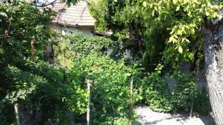 Holiday home in Tihany/Balaton 20236 - Tihany - 7