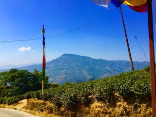 Theeng's Homestay(MIRIK) - 1