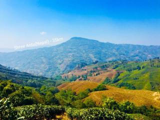 Theeng's Homestay(MIRIK) - 2