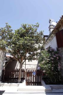 Holiday home in Pomer/Istrien 9026 - Pomer - 0