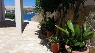 Studio in Pag - Insel Pag 15955 - Pag - 9