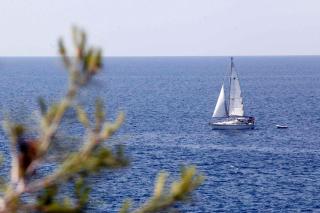 Holiday home Snjezana in Stinjan - Istrien 17365 - 8