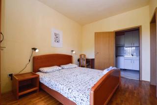 Apartments in Pjescana Uvala/Istrien 10996 - 2