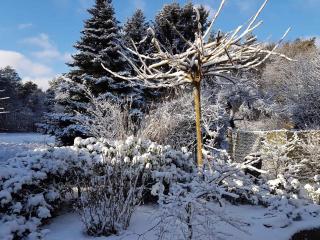 Holiday home in Coswig 3105 - Möllensdorf - 9