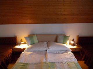 Apartment in Fonyod - Balaton 33083 - 8