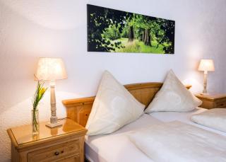 Hotel-Pension-Waldblick Garni - Gittersdorf - 1