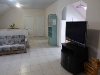 Apartment Balatonfenyves - Balaton 18408 - 4