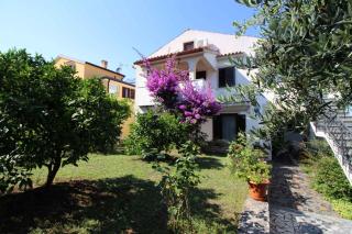 Apartment in Porec - Istrien 10446 - Poreč - 1