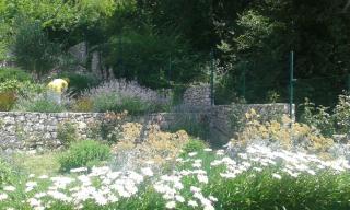 Holiday home in Tucepi 6624 - 1