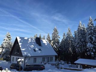 Apartment in Winterberg 2812 - Winterberg - 0