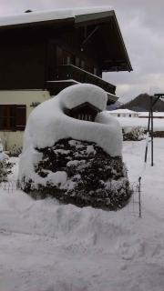 Holiday home Strobl/Salzburger Land 103 - Weissenbach - 1