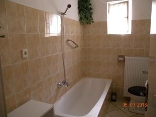 Apartment in Balatonboglar/Balaton 18182 - 7