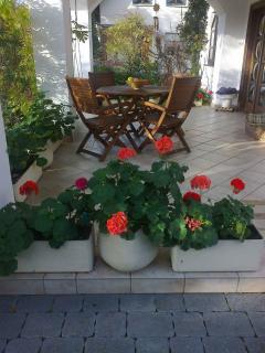 Apartment in Siofok - Balaton 19988 - 9