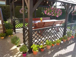 Apartment in Balatonbereny - Balaton 18061 - Balatonberény - 8