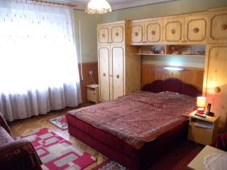 Holiday home in Balatonfenyves 18379 - Balatonfenyves - 7