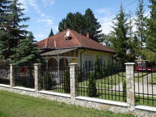 Holiday home in Siofok - Balaton 19827 - Siófok - 1