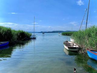 Holiday home in Szantod - Balaton 20220 - Szántód - 1